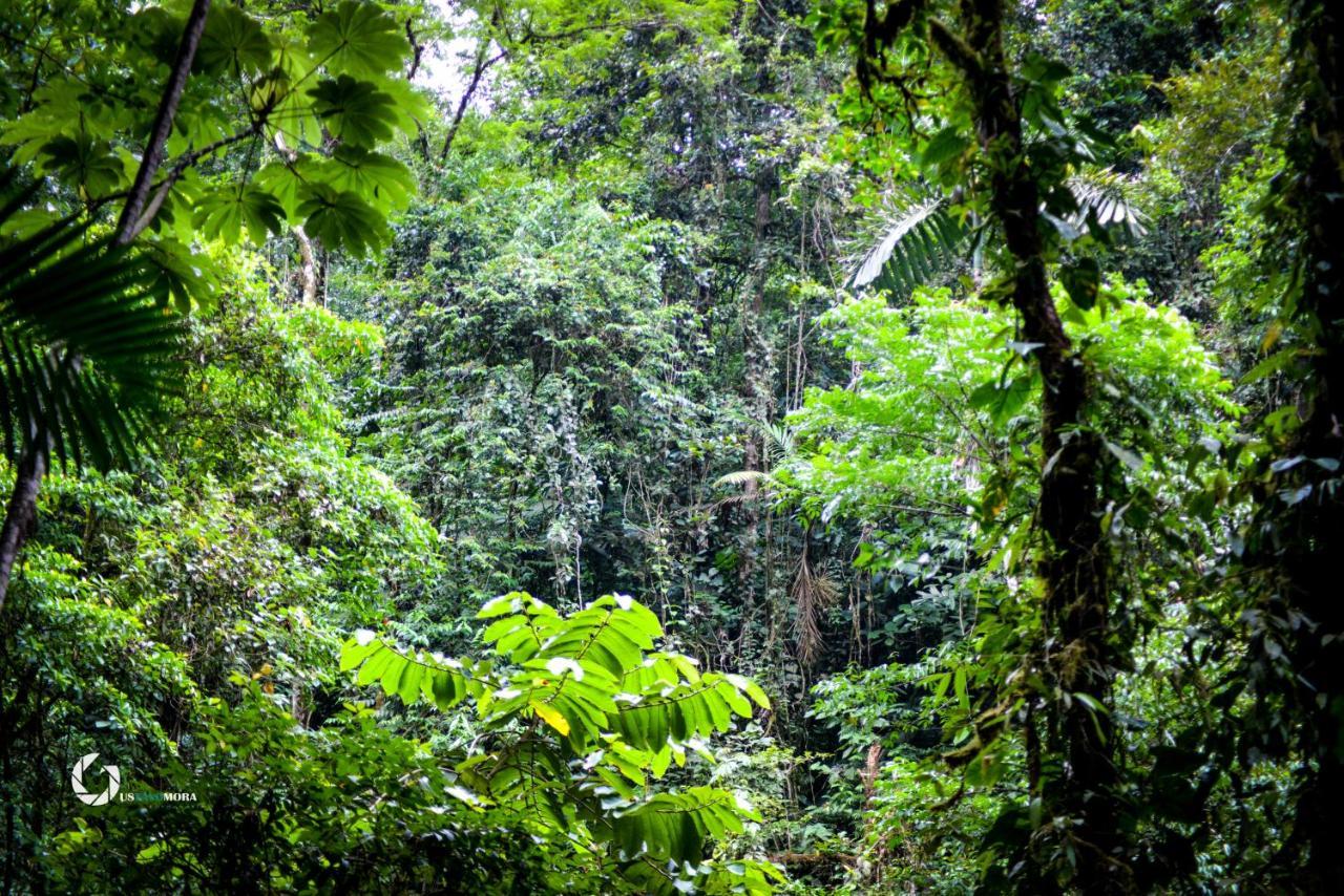 Princesa De La Luna Ecolodge La Fortuna Ngoại thất bức ảnh