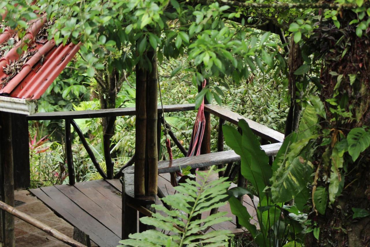 Princesa De La Luna Ecolodge La Fortuna Ngoại thất bức ảnh