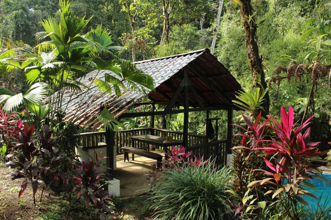 Princesa De La Luna Ecolodge La Fortuna Ngoại thất bức ảnh