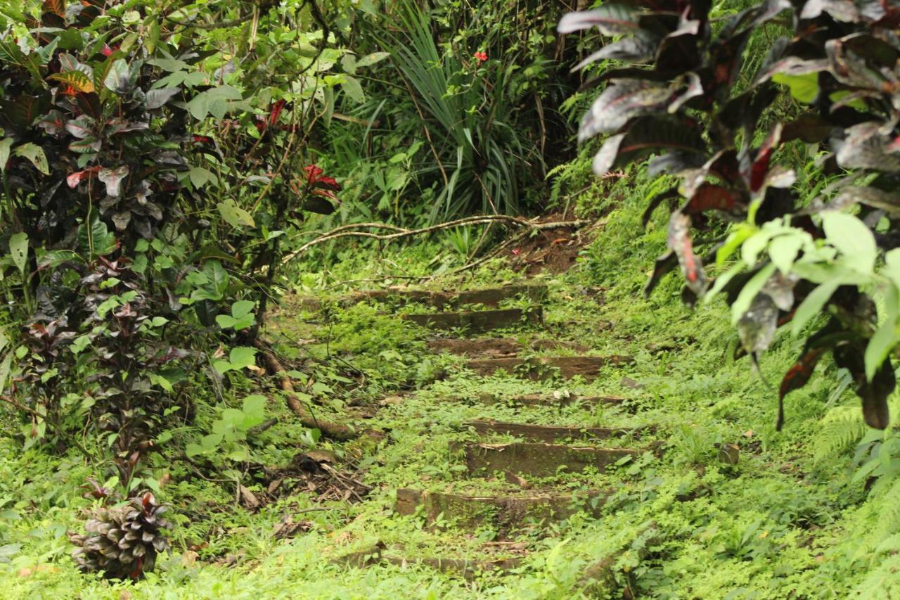 Princesa De La Luna Ecolodge La Fortuna Ngoại thất bức ảnh