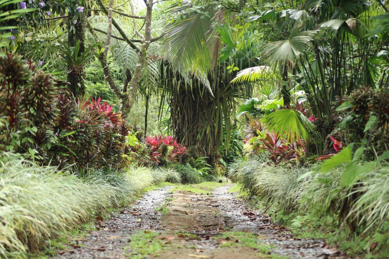 Princesa De La Luna Ecolodge La Fortuna Ngoại thất bức ảnh