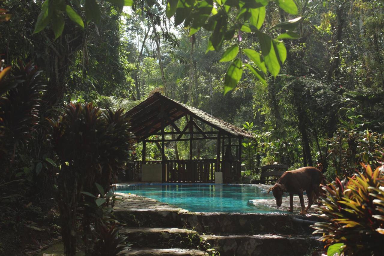 Princesa De La Luna Ecolodge La Fortuna Ngoại thất bức ảnh