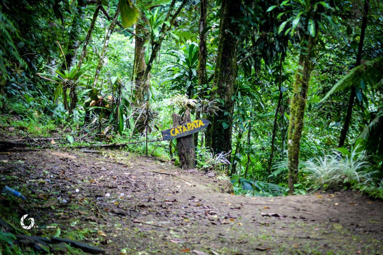 Princesa De La Luna Ecolodge La Fortuna Ngoại thất bức ảnh