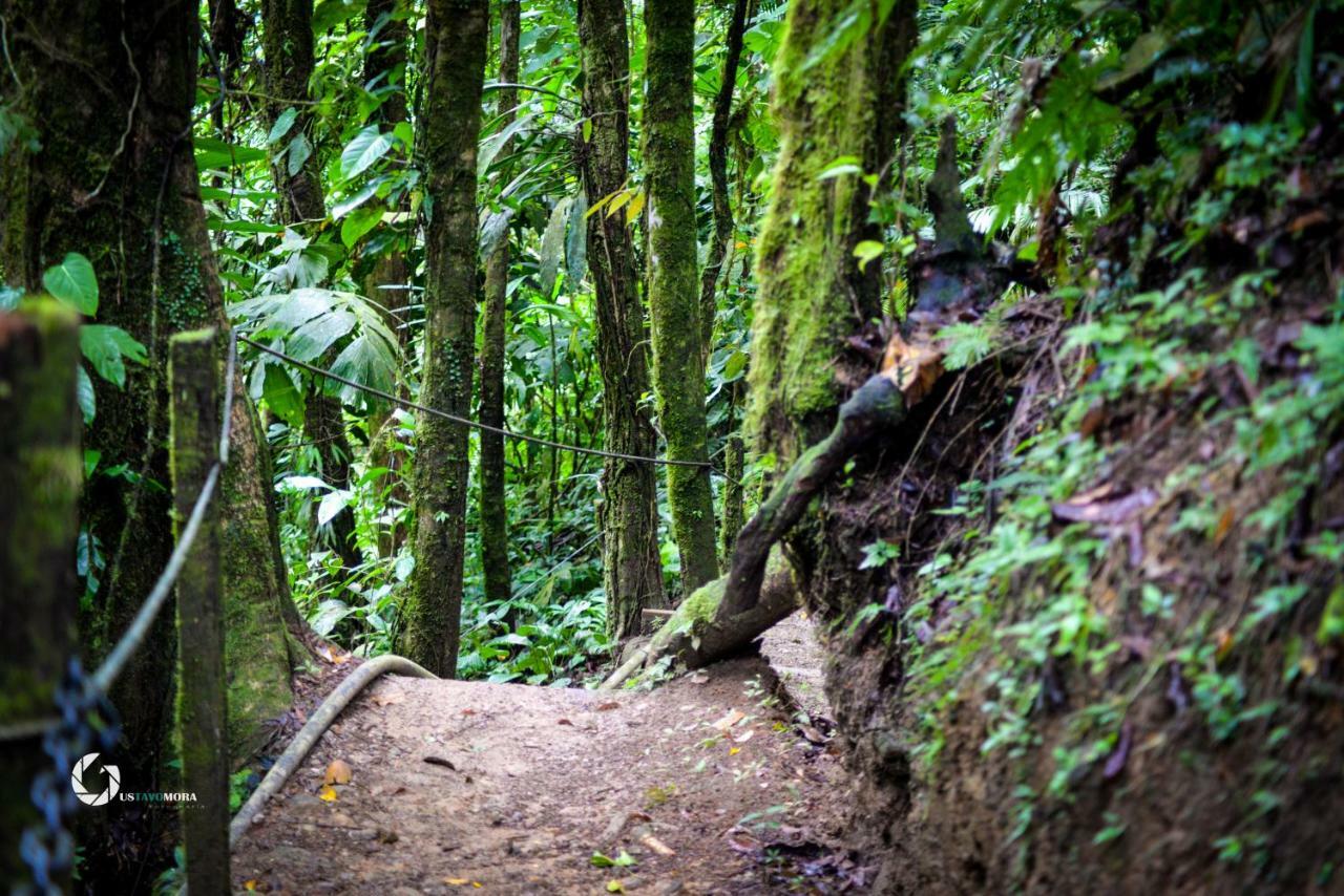 Princesa De La Luna Ecolodge La Fortuna Ngoại thất bức ảnh
